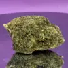 Dried cannabis bud resting on a purple reflective surface, showing dense green and orange hairs.