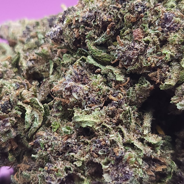 Purple CBD 9% / 10gr – Image 3